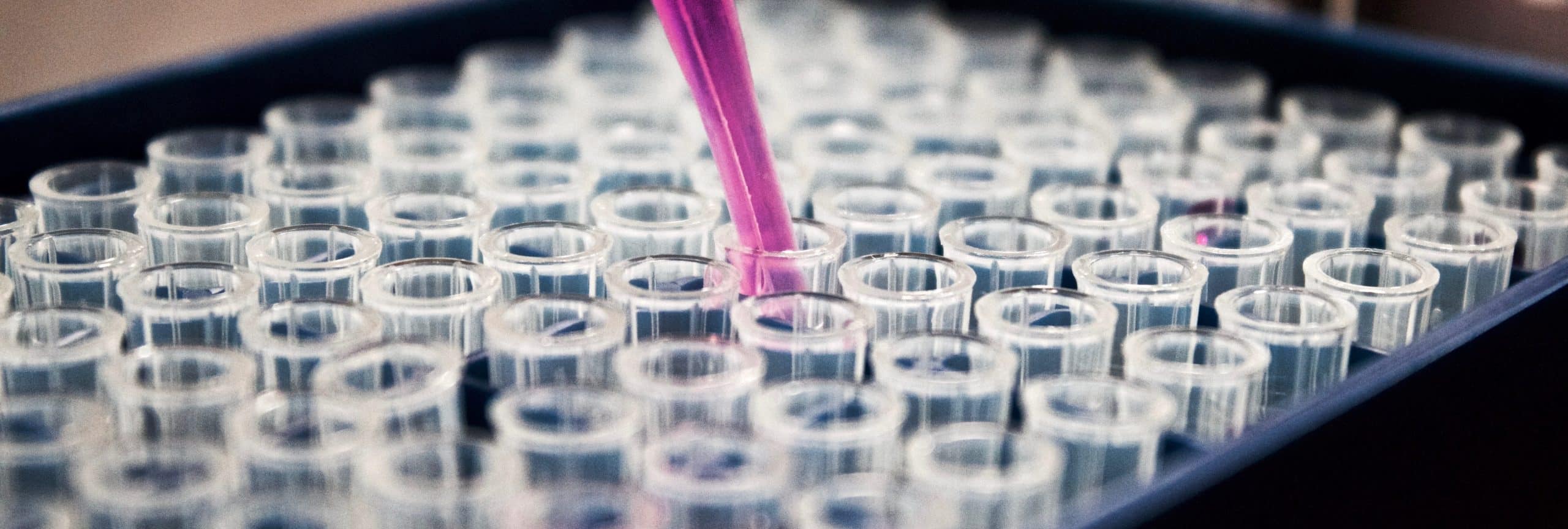 Scientific test tubes having a substance injected into them.